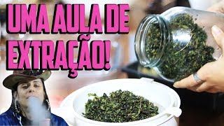 COMO FAZER ÓLEO DE MACONHA COM ÁLCOOL DE CEREAIS  - HASH OIL