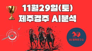 25년 11월 29일 토요일 제주 경마 분석 및 예측