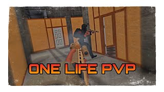 What Would One Life PvP Look Like? | CODE-5343