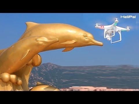 DJI Phantom FC40 - HeliPal.com