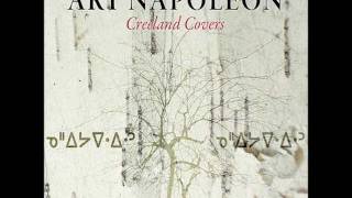 Art Napoleon - Wildflowers (Tom Petty Cover)