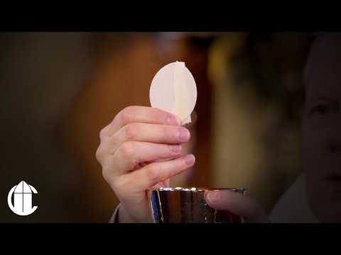 Catholic Mass Today: 2/11/26 | Memorial of Our Lady of Lourdes