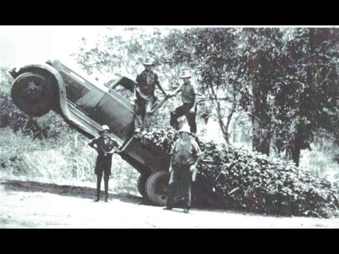 This Animal Killed to get at the Jugular Vein - Bauple Mountain Yowie ( Bigfoot ) sightings 1932