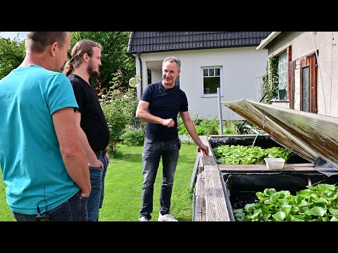 Modern Koi Blog #4796 - From Vienna: Werner and Jakob's Giant Pond and Koi Breeding Part 2