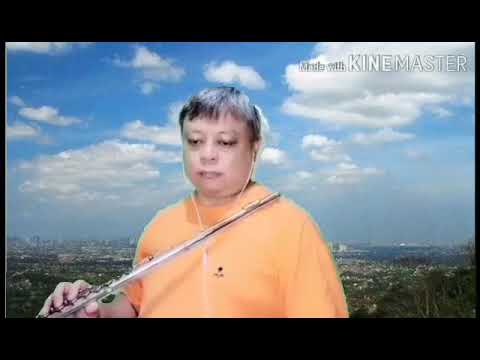 Skyline Pigeon (flute cover)