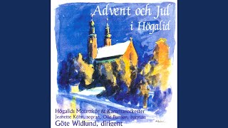 Concerto Grosso in G Minor, Op. 6, No. 8, &quot;Christmas Concerto&quot;: V. Allegro - Pastoral