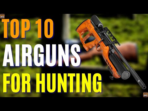 Top 10 Best Airgun for Hunting In 2024 | Best Air Guns 2024