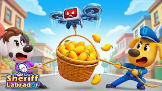 Download lagu Out of Control Drones | Safety Rules | 📡 Patrol Missions | Sheriff Labrador mp3