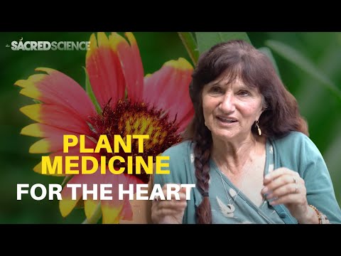 Rosemary Gladstar | Stress and Anxiety Herbs | Plant Medicine For The Heart