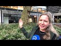 Wie wint er, de 'Feyenoordboom' of de 'PSV-boom'?