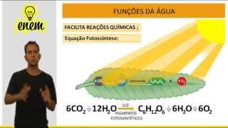 Biologia ENEM - Composição Química Celular - Aula 02