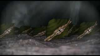 Danaan's Lament: Original song by Will Corbin / original animation by The Seeker