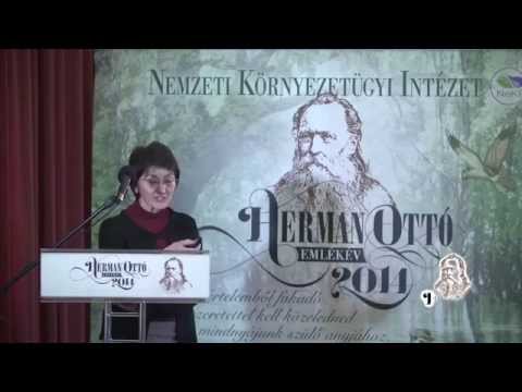 Saly Erika - Te is lehetsz polihisztor!