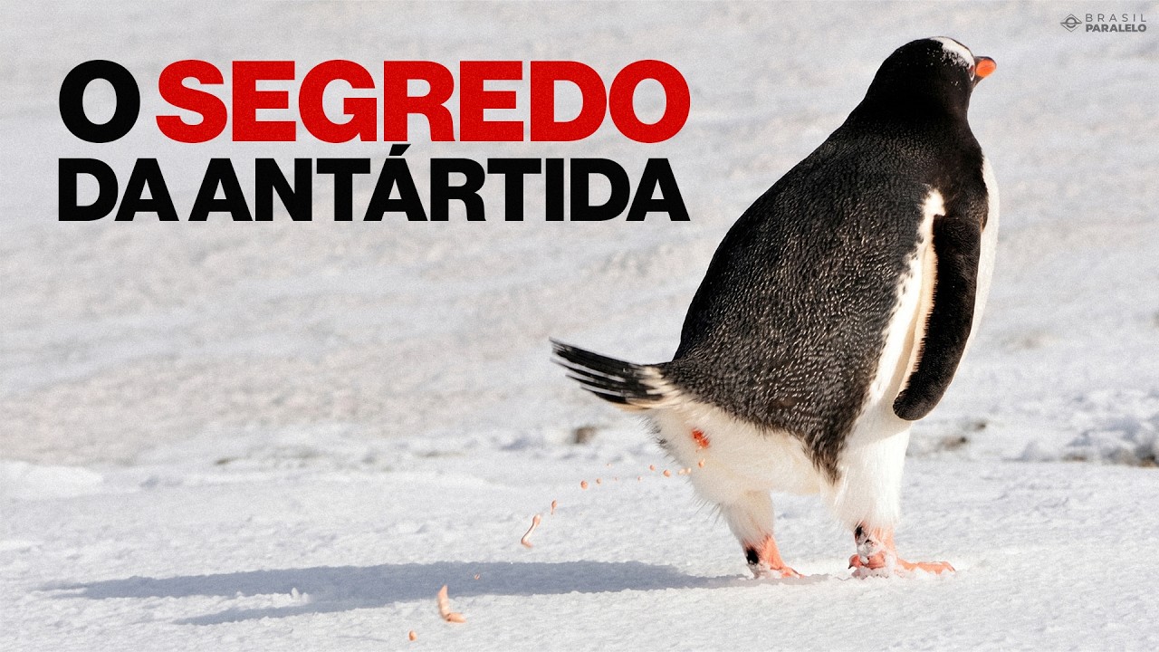 COMO OS PINGUINS ESTÃO RESFRIANDO O CONTINENTE GELADO