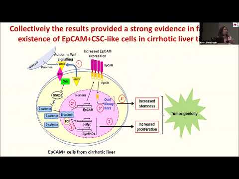 Topic - "Hepatocellular Carcinoma: from Diagnostics to Therapeutics"