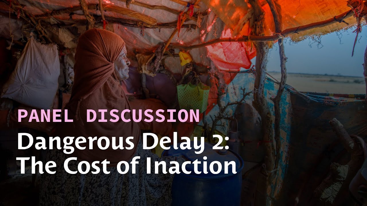 Panel discussion: Dangerous Delay 2