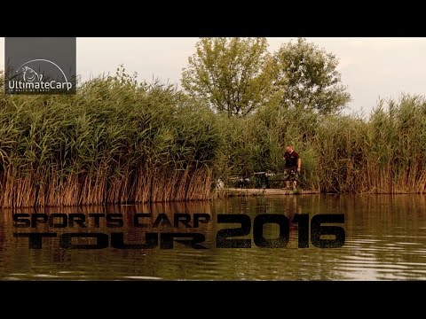 Sports Carp Tour 2016