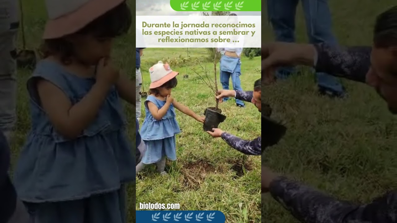 Actividades ambientales con la comunidad