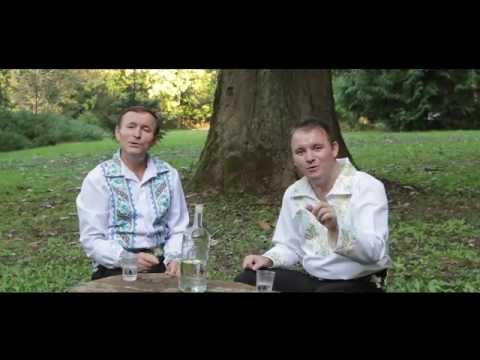 mile povan trandafir si trei bujori