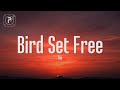 Sia - Bird Set Free (Lyrics)