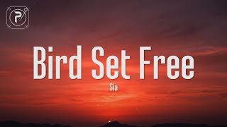 Sia - Bird Set Free (Lyrics)