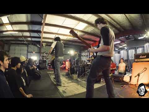 Rosasharin video