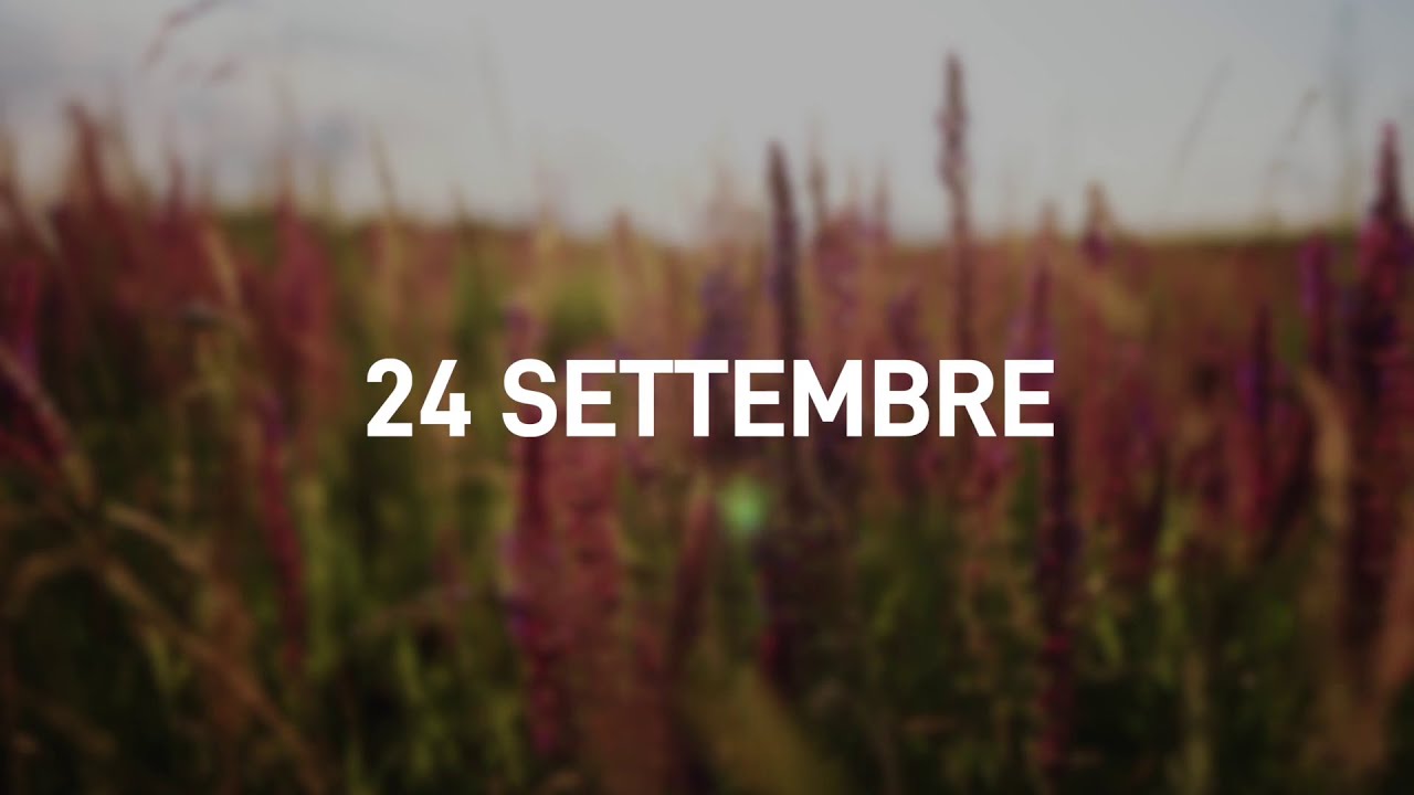 24 Settembre 2025 | Meditazione Parole di Vita