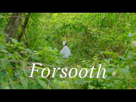 FORSOOTH