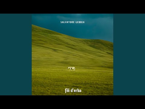 Fili d'Erba