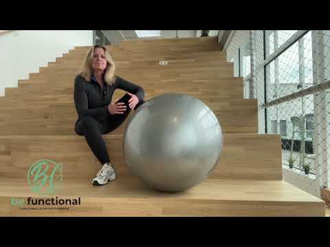 FBL Klein Vogelbach - Einführung und die Praxis für Therapeuten, Trainer und Patienten