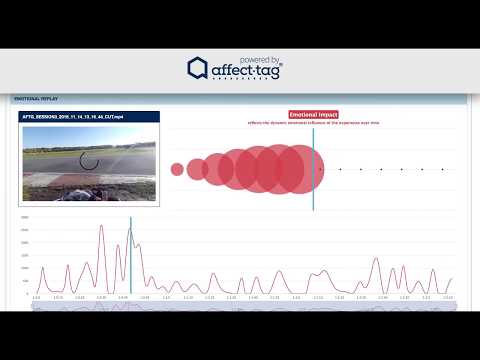 Kart Racing _ Individual Emotional Gauge (REAL TIME !)