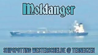 preview picture of video '17-03-2015 - Westerschelde - Terneuzen - Moldanger'