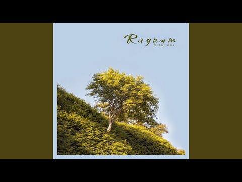 Find A Way - Raynum