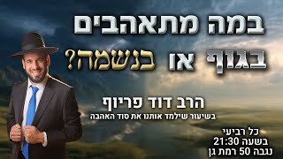 במה מתאהבים - בגוף או בנשמה? | הרב דוד פריוף | שידור חי!🔴 (הרב דוד פריוף) - התמונה מוצגת ישירות מתוך אתר האינטרנט יוטיוב. זכויות היוצרים בתמונה שייכות ליוצרה. קישור קרדיט למקור התוכן נמצא בתוך דף הסרטון