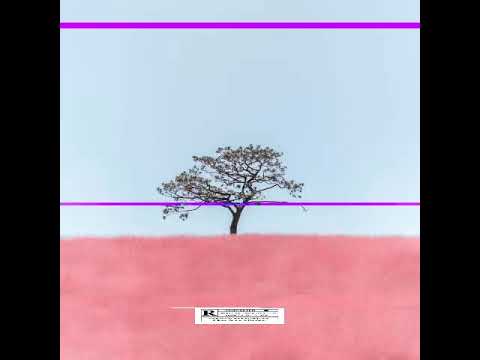 D'Galan x Fastha x Weahstyle x Fooreigngvng - 4 de 4