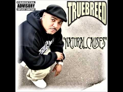 Truebreed feat. Roger Troutman - Superstar