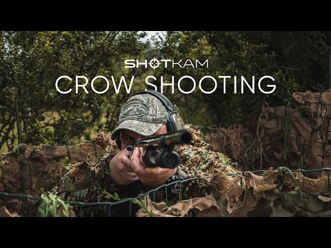 Decoying Crows (ShotKam Gen 3 Videos)
