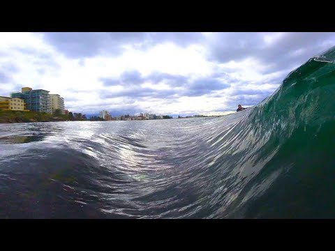 SUPER CUTE session on a NOVELTY REEF (Wait, what?)