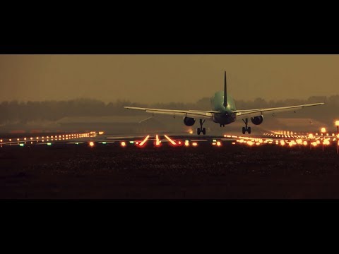 Red Beard - A Place To Settle Down (Official Video)