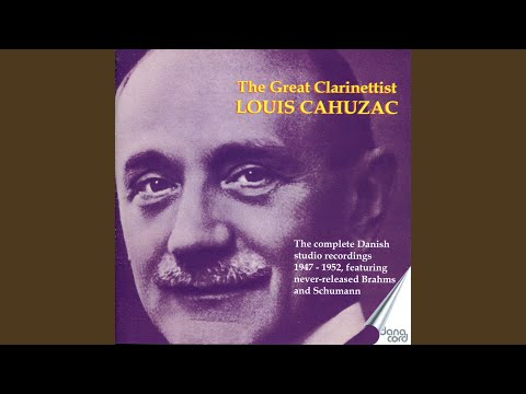 Concerto for Clarinet and Orchestra in A Major, K.622: I. Allegro