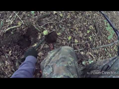 Sondeln/Sondengänger im Wald mit Kyffhäuser WW2 Anstecker (Videobeschreibung) Metal Detecting WW2