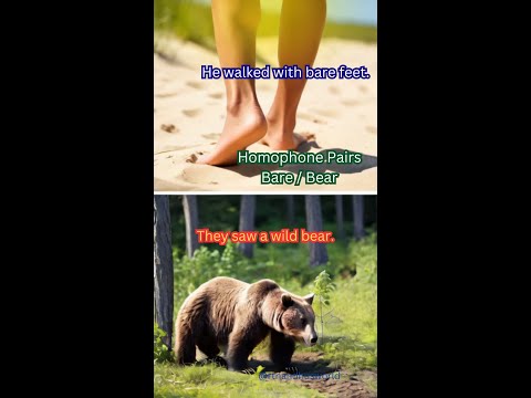 10 Common Homophones with Pictures, Pronunciation, and Examples | English Learning