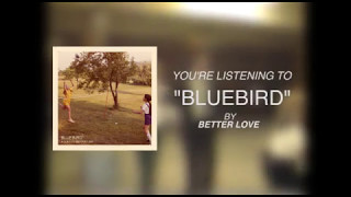 Bluebird Music Video