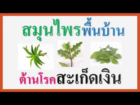 ซื้อโลชั่นร้านค้าออนไลน์สำหรับโรคสะเก็ดเงิน Vulgaris โรคสะเก็ดเงินในขั้นสูง