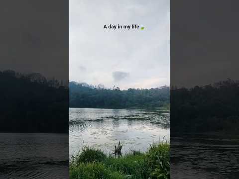 A day in my life🍃 || Raveena Dharmappa || #ytshorts #viral #explore #mydailylife