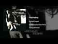 Michael Hoppé - The Parting