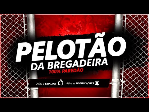 |CD| - PELOTÃO DA BREGADEIRA 2020 | CD 400% PRA PAREDÃO