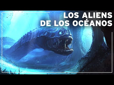 Los Extraterrestres Marinos : Un Viaje Extraordinario por nuestros Océanos | Documental animales