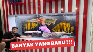 BANYAK YANG BARU DI MARKAS JAMM VLOG!! MULAI DARI IKAN PREDATOR SAMPAI SISTEM FILTRASI BARU MEGATANK