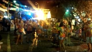 preview picture of video 'escola de samba unidos da vila abrindo o carnaval de cristina 2015'
